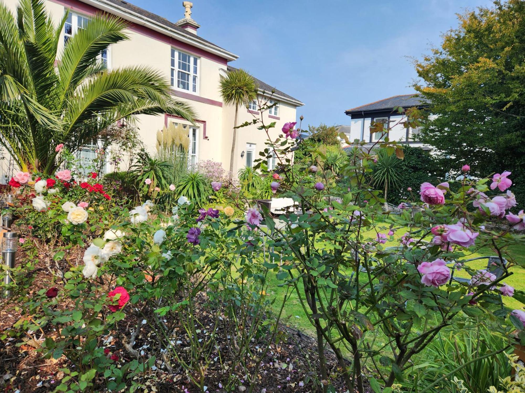 Rose Court Holiday Apartments 托基 外观 照片