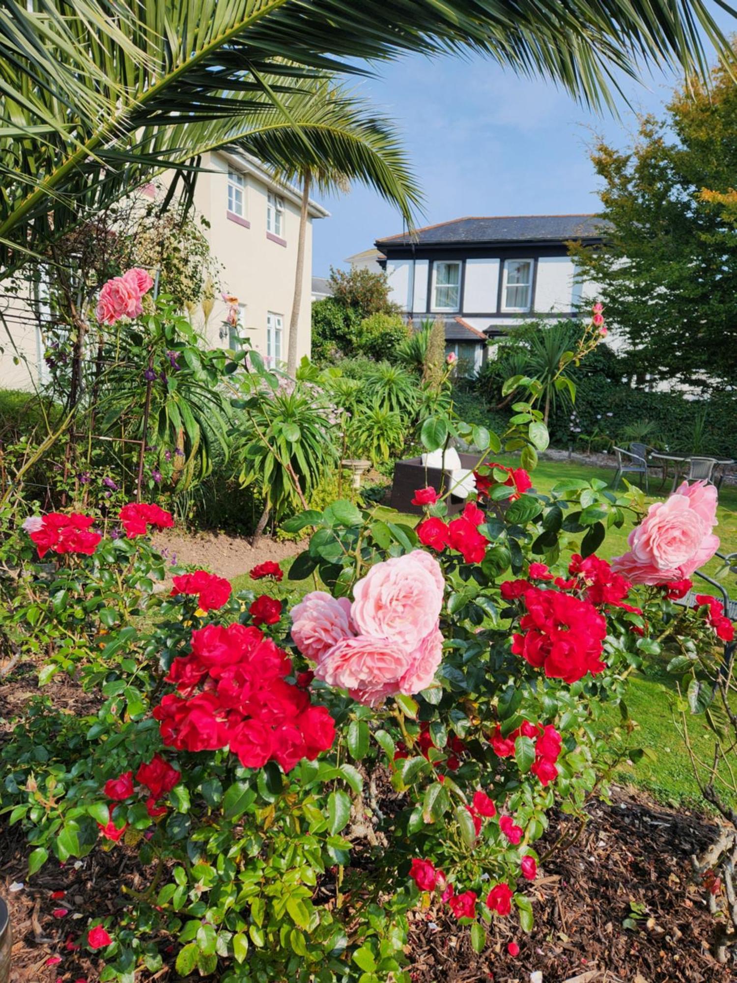 Rose Court Holiday Apartments 托基 外观 照片